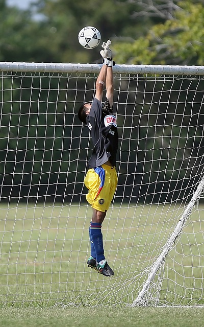 甲争冠的格 甲争冠的格