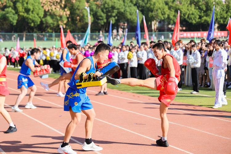 本土球员球 本土球员球